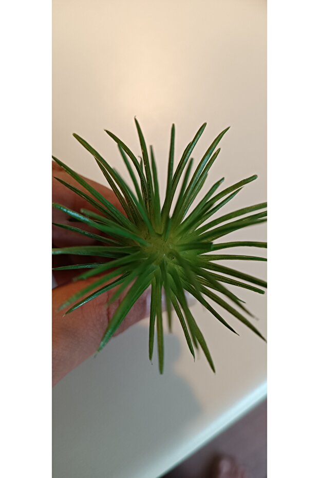 Tillandsia Yapay Hava Bitkisi, 2 Adet Yapay Suculent 6x7 Cm - 6