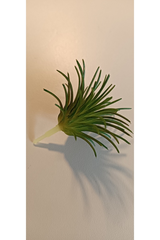 Tillandsia Yapay Hava Bitkisi, 2 Adet Yapay Suculent 6x7 Cm - 4