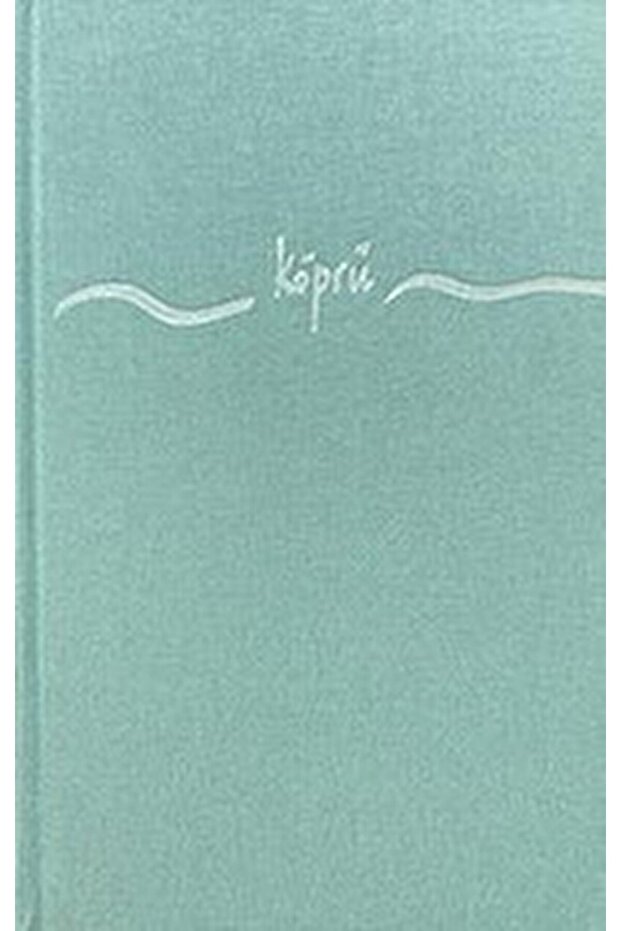 Köprü / Burcu Altıparmak / Cinius Yayınları / 9786258330700