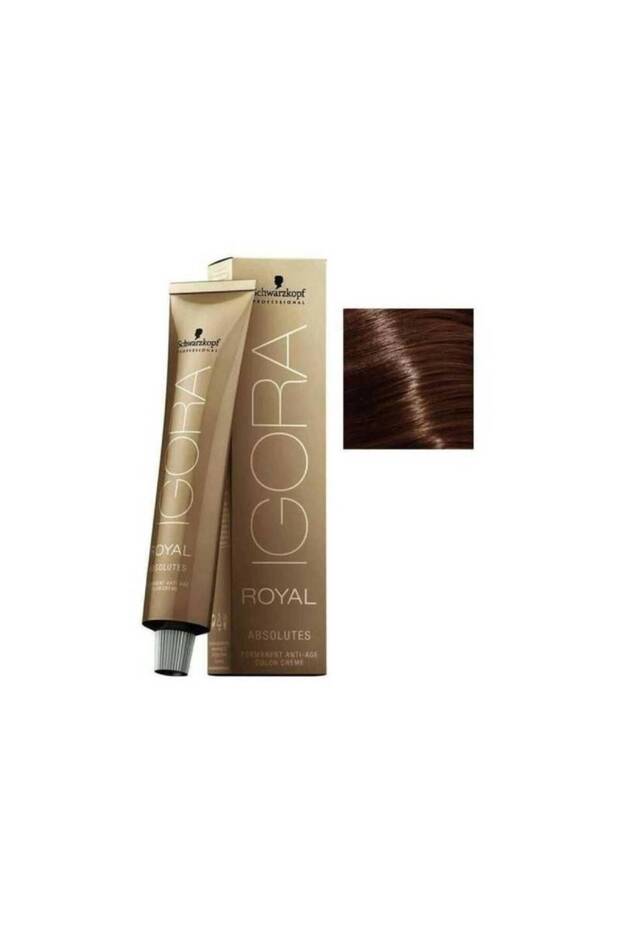 Igora Royal Absolutes 6-60 Koyu Kumral Çikolata Doğal Saç Boyası 60ml - 1