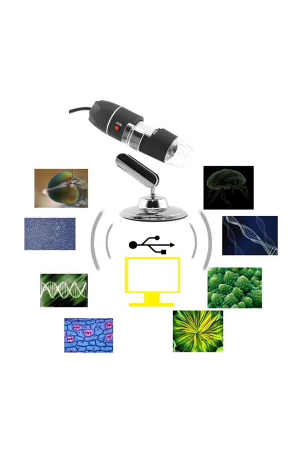 Hd Usb Digital Microscope 500x - 5
