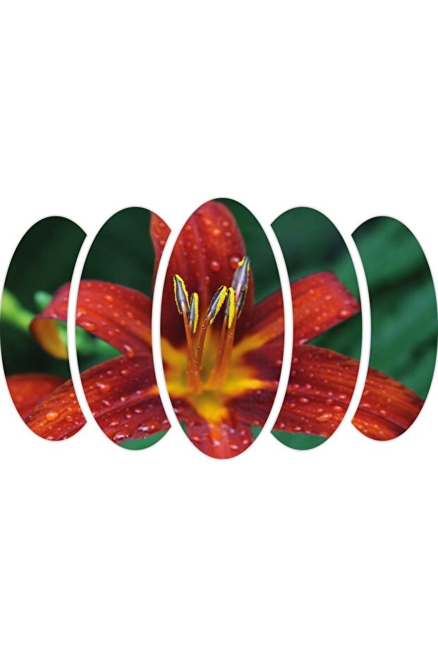 Zambak Mdf Tablo - 4