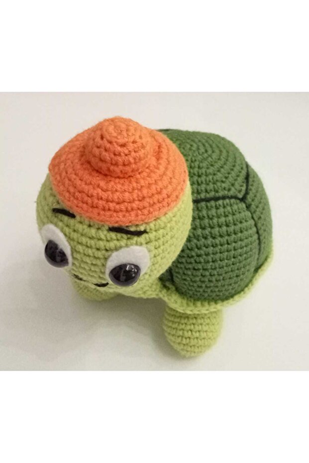 Sevimli Kaplumbağa Turtle