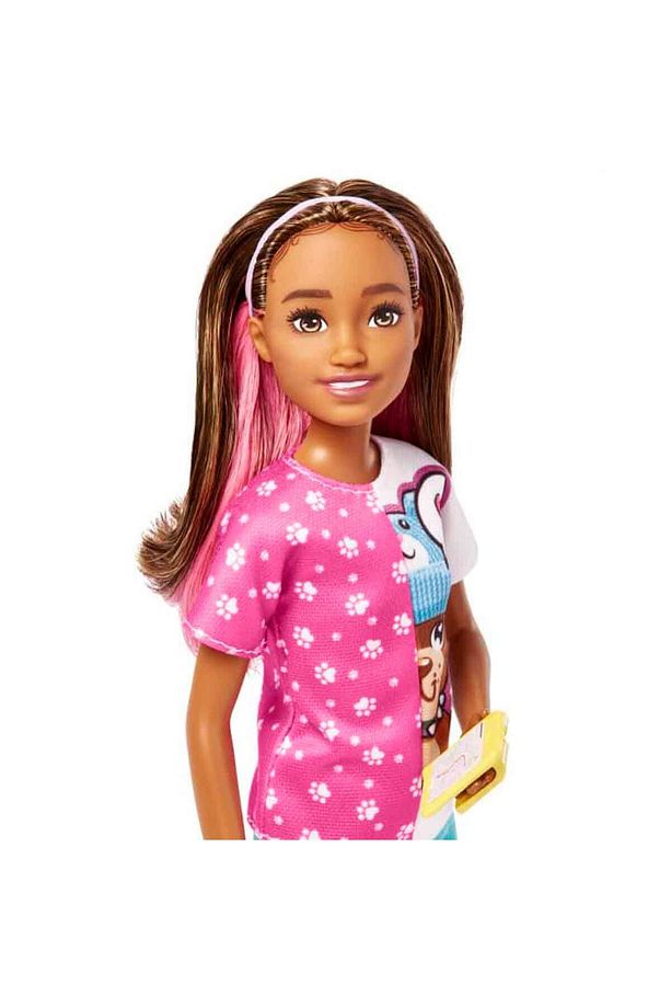 Oyuncak Barbie Köpek Bakıcısı Hkd77 - 2