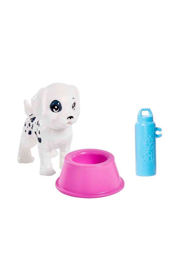 Oyuncak Barbie Köpek Bakıcısı Hkd77 - 4