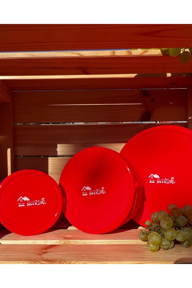 My Dinner is With Me Set - Airtight Leak Proof Hygienic Silicone Feeding Bowl - Red