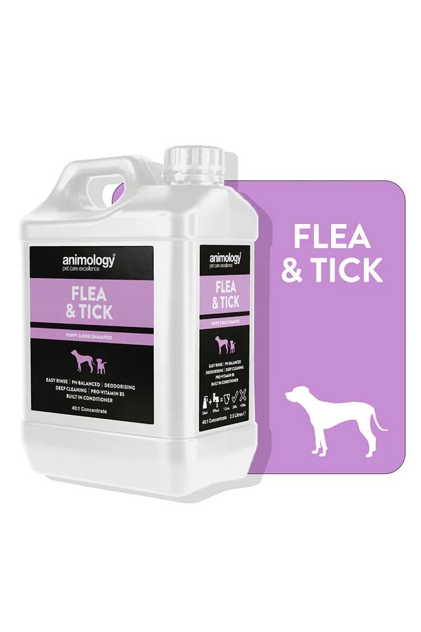 Flea Tick Shampoo 40:1 Konsantre Köpek Şampuanı 2.5 Lt - 4