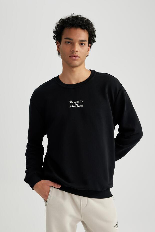 Crew Neck Printed Regular Fit Sweatshirt - A7462ax23au