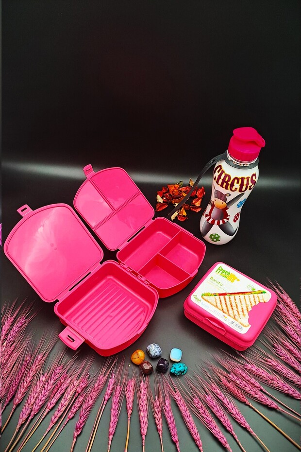 Lunch Box 4 Compartments 2 Layers and Sandwich Box 500 Cc Water Bottle 3-Piece Feeding Set Antibacterial