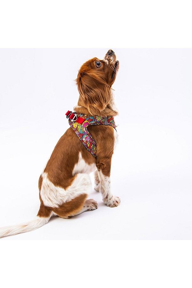 Air-mesh Wow Köpek Göğüs Tasması - 5