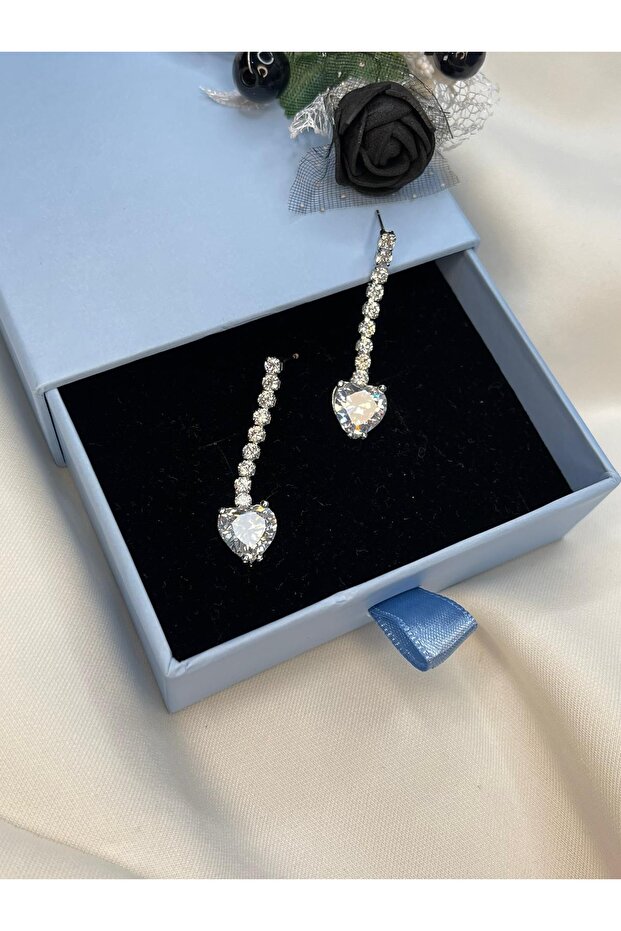 Waterway Heart Steel Earring Silver Color