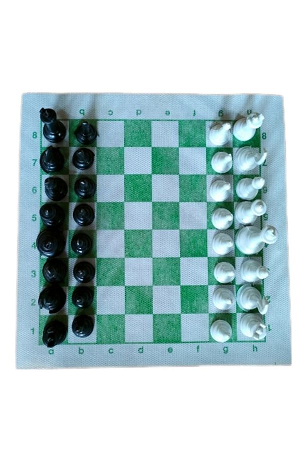 Satranç Takımı Rulo 20*20 Cm - 4