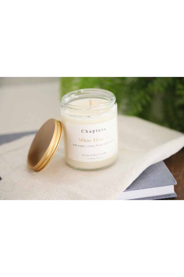 Basic Mum, White Flowers - 3