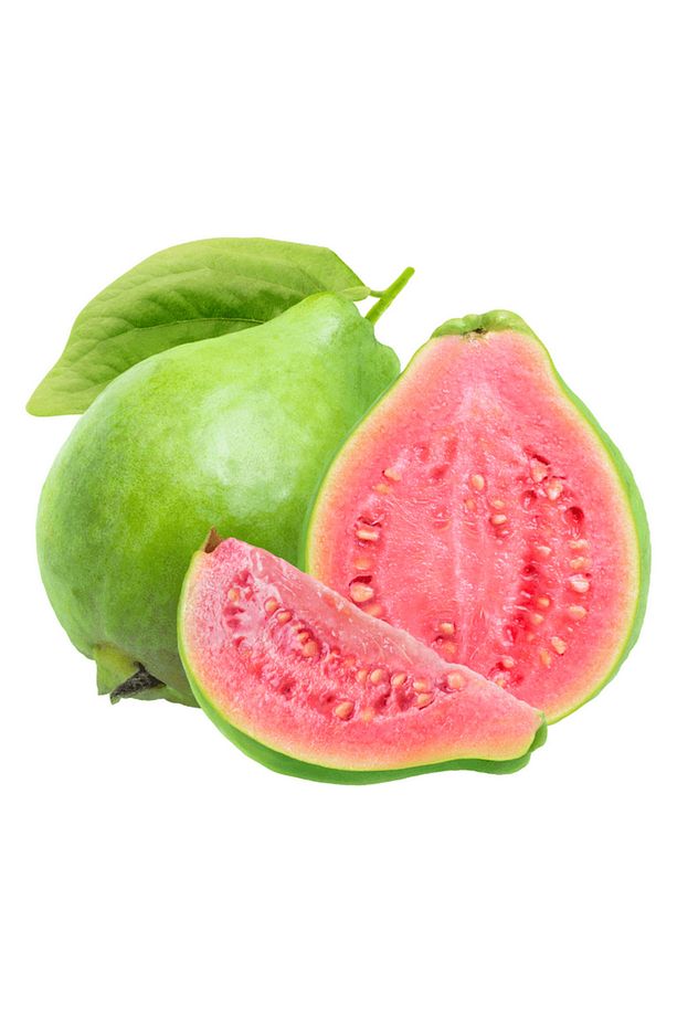 Guava Ağacı - 1