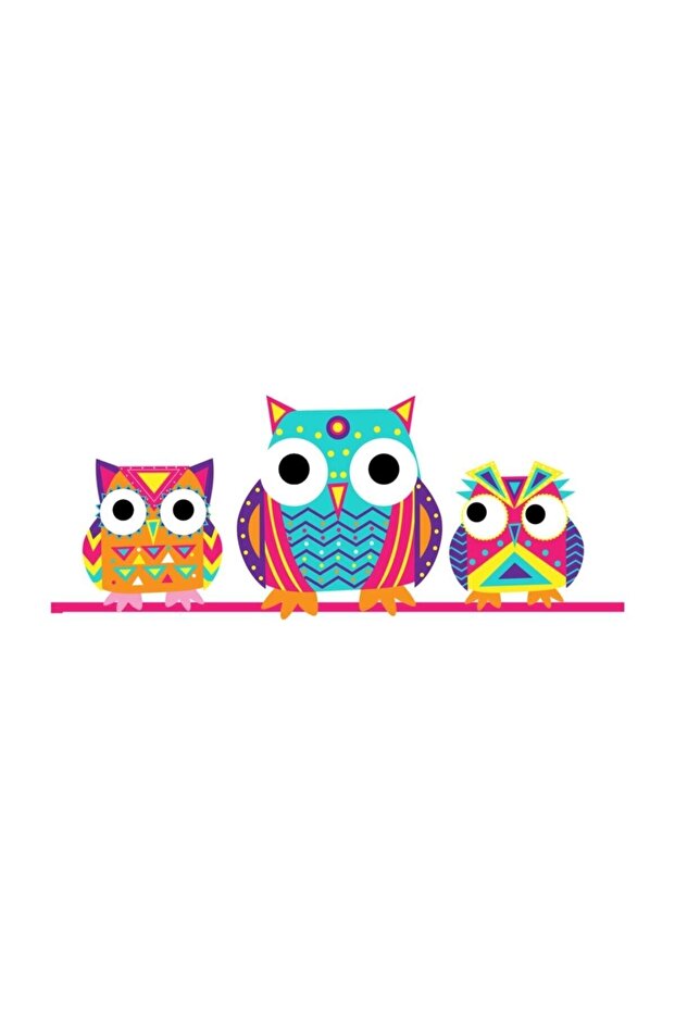 Owls Large Folder - 1