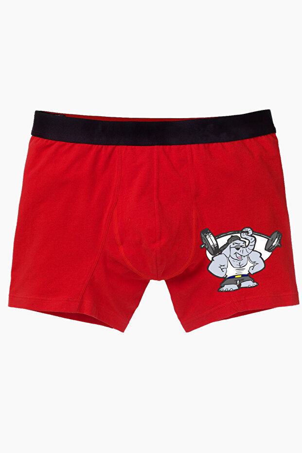 متعة الملاكم الفيل - 1