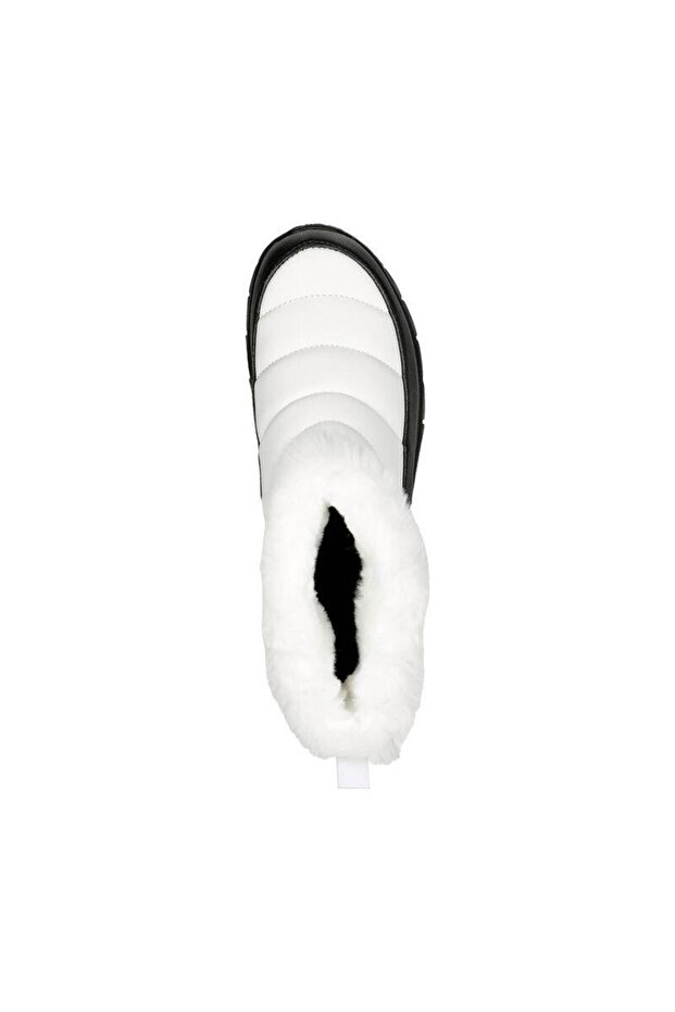 SYNERGY - NOCTURNE - 2