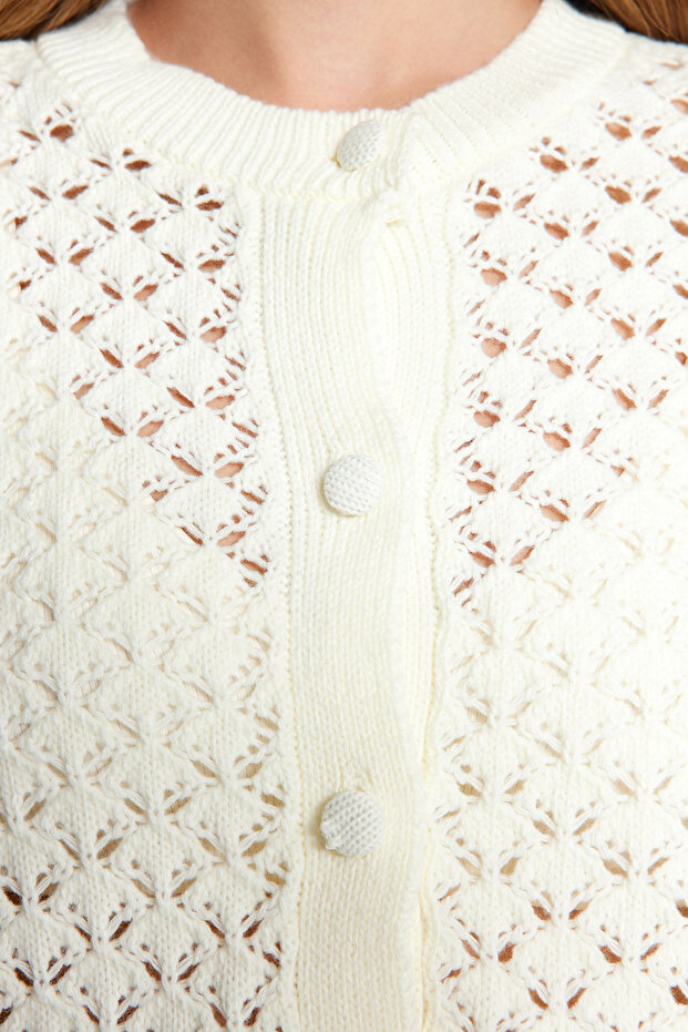 Ekru Crop Dantel Garnili Ajurlu/Delikli Triko Hırka TWOAW24KZ01059 - 5