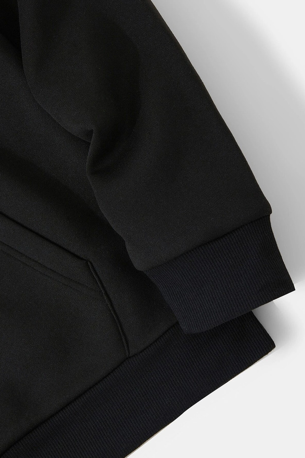 Dinazor Baskılı Kapüşonlu Sweatshirt - 2