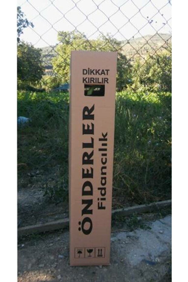 Acem Halısı Çiceği Viyolde - 3