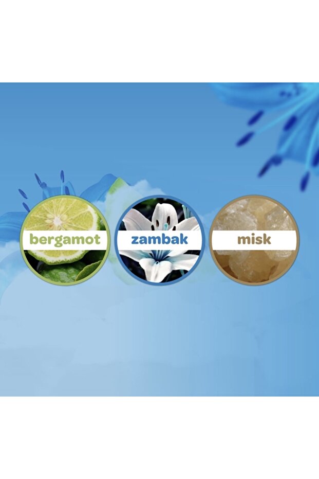 Bebek Kokonyası Deniz Esintisi 150 ml - 4