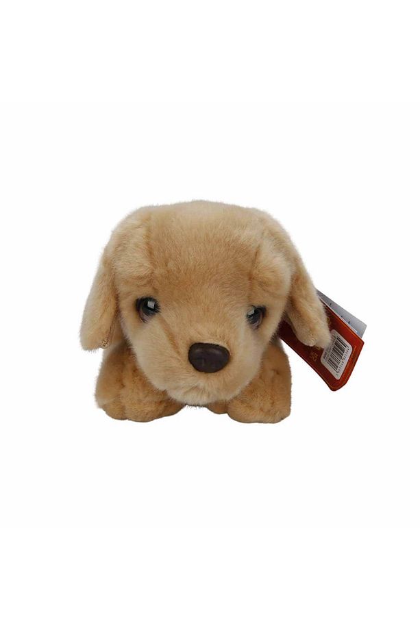 Yavru Labrador Peluş Köpek 32 Cm. - 2