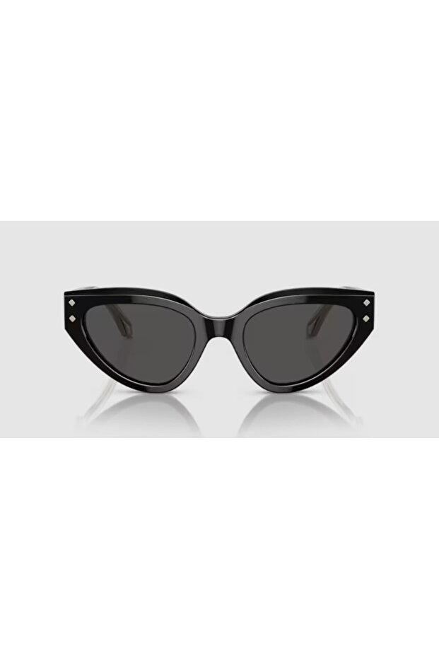 8256 501/87 53-21 - 2