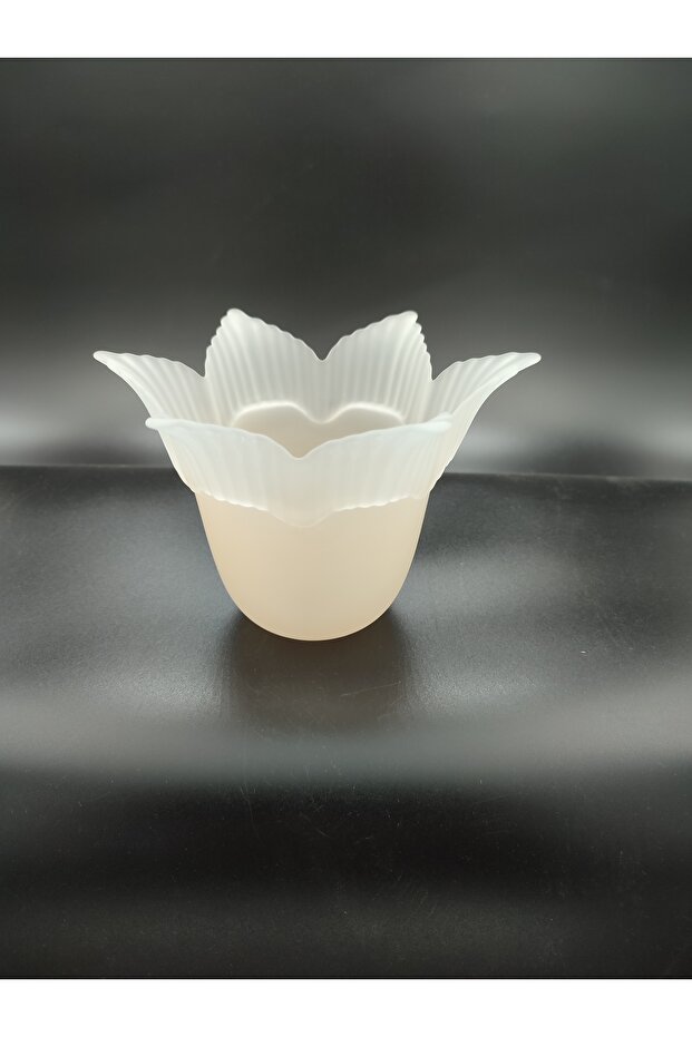 AVİZE CAMI.SOMON-MAT RENKTE.6 KANATLI.(E.27) - 6