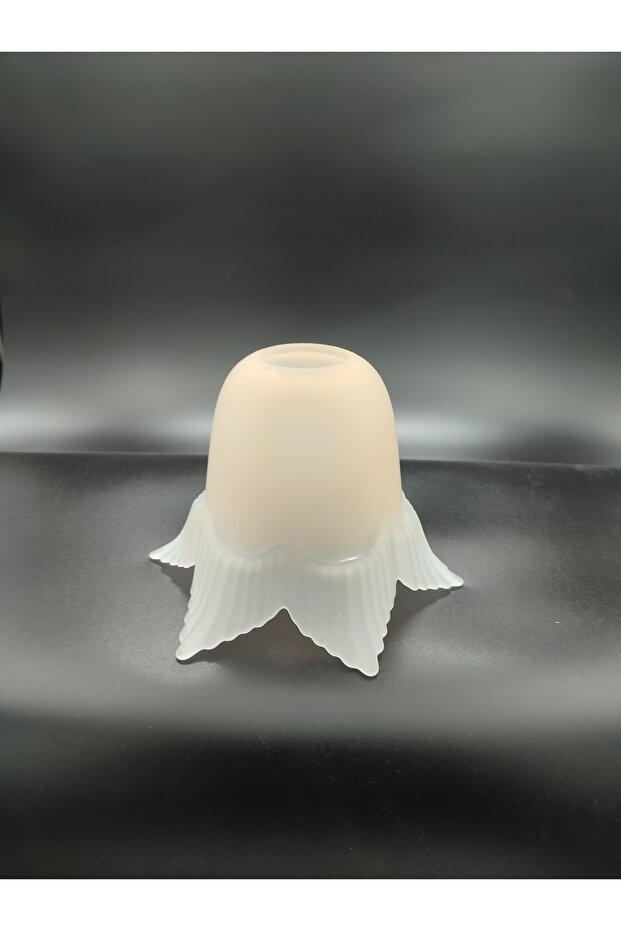 AVİZE CAMI.SOMON-MAT RENKTE.6 KANATLI.(E.27) - 4