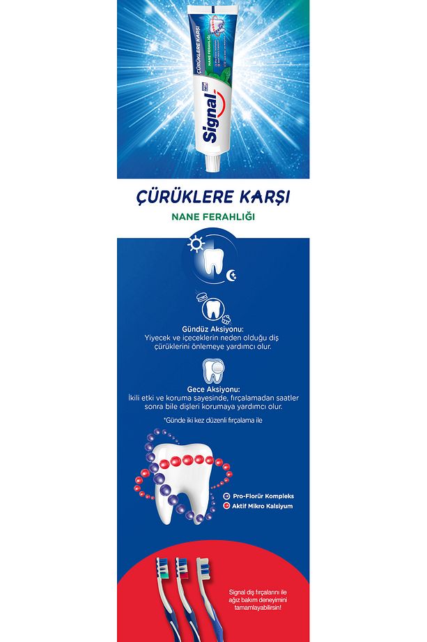 Diş Macunu Çürüklere Karşı Nane Ferahlığı 50 ml X4 Adet - 4