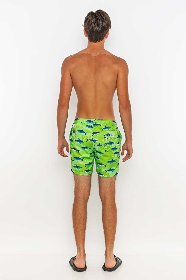 Erkek Şort Mayo - 4