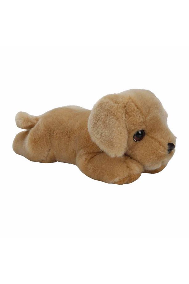 Yavru Labrador Peluş Köpek 32 Cm. - 3