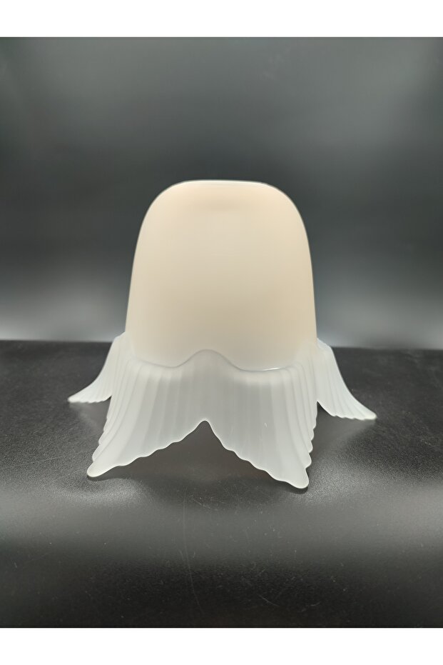 AVİZE CAMI.SOMON-MAT RENKTE.6 KANATLI.(E.27) - 2