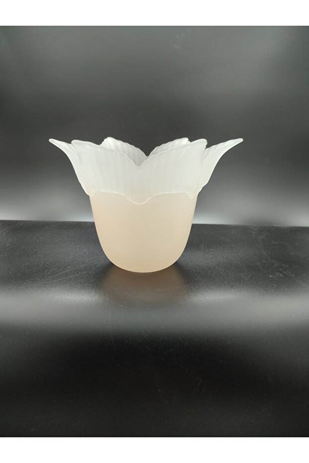 AVİZE CAMI.SOMON-MAT RENKTE.6 KANATLI.(E.27) - 5