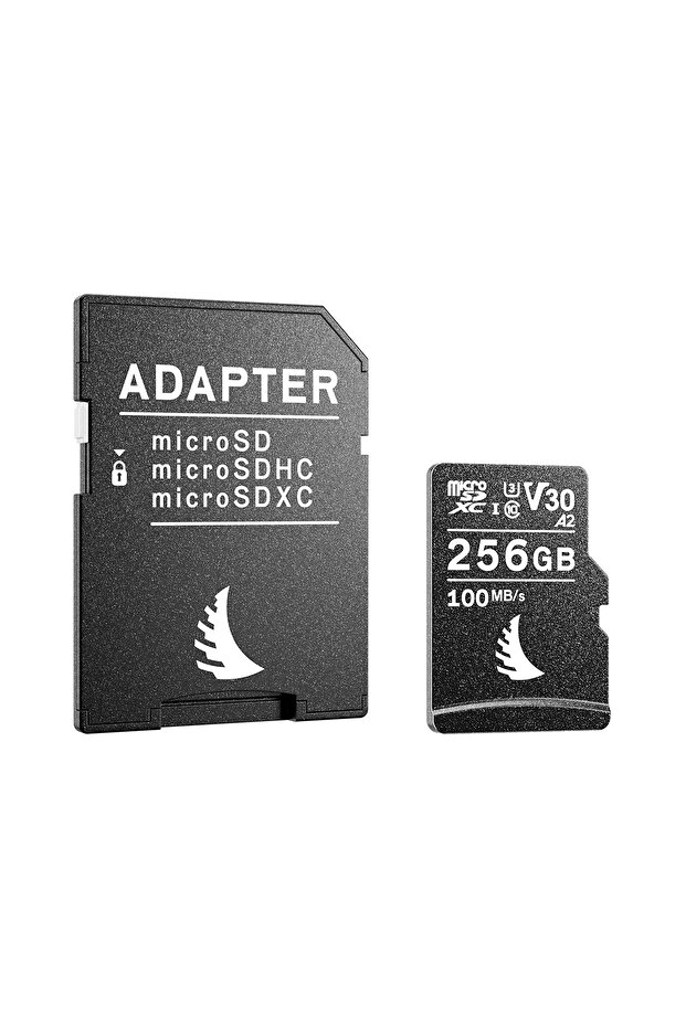 MicroSD 256GB V30 - 1
