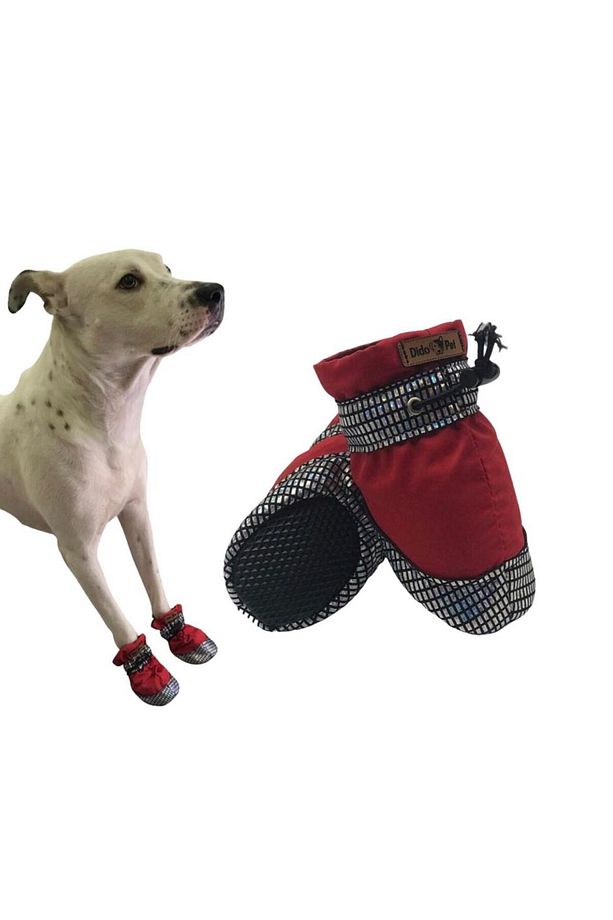 Kışlık Köpek Ayakkabısı - 3