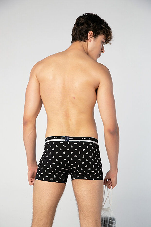 Erkek 3'lü Boxer - 4