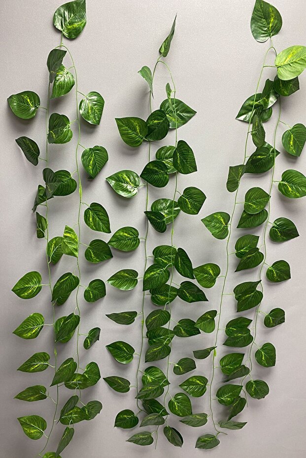 Artificial Flower Green Artificial Real Looking Ivy 5 Pieces – Artificial & Dry Flower, Stylish Design – Artificial - 2