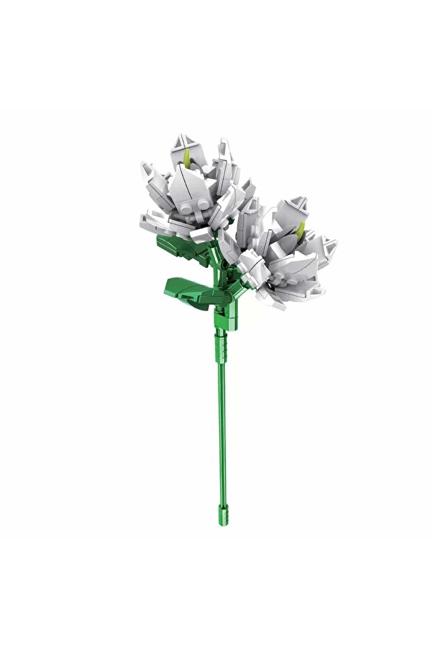 BLX Çiçek Buketleri C0281 - 5