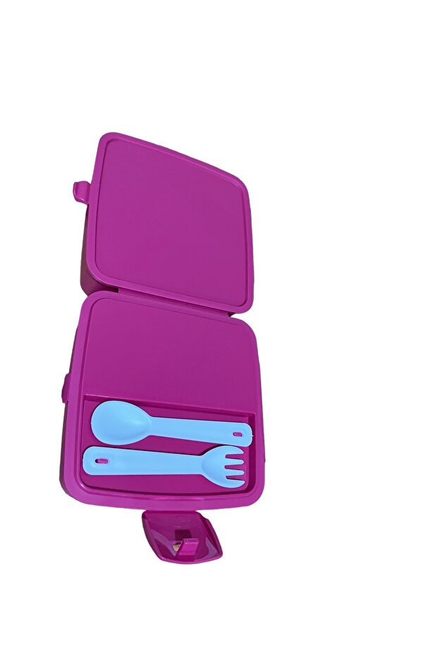 Premium Lunch Box Fuchsia 15 X 16 X 9cm Fuchsia