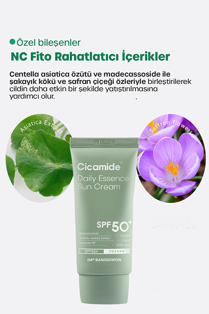DR BANGGIWON Güneş Kremi Cicamide Centella Asiatica, Seramid Onarıcı, Spf50 Pa 50ml