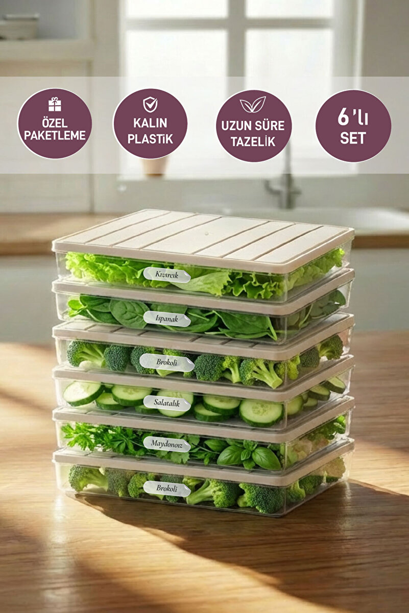 SELKA HOME 6 Adet 2,5 Lt. Nora Organizer Buzdolabı Buzluk Düzenleyici Saklama Kabı