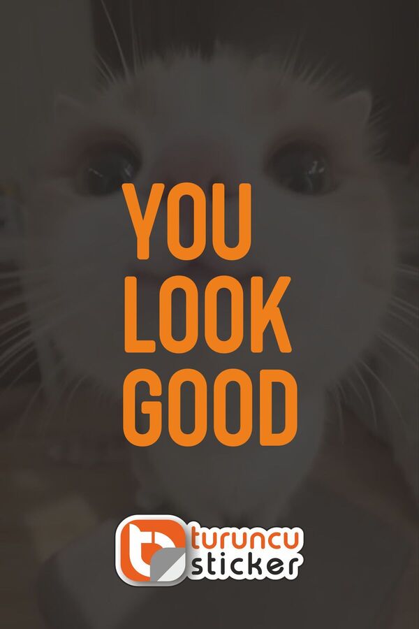 YOU LOOK GOOD Sticker Etiket 10x15 cm Ayna - Cam– Araç – Motor – Laptop - Kask Etiket Sticker