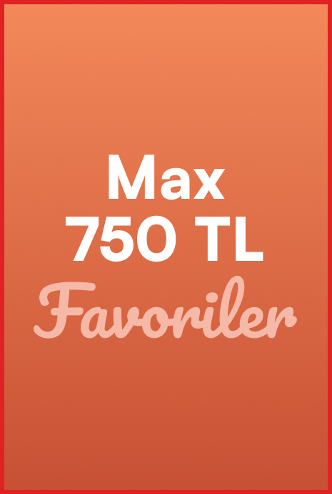 DSBoutiques_test grup 1_Max 750 TL Favoriler