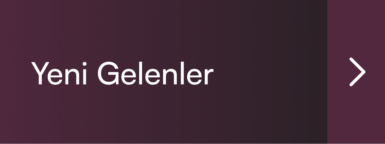 DSBoutiques_İnce Single Banner_Yeni Gelenler