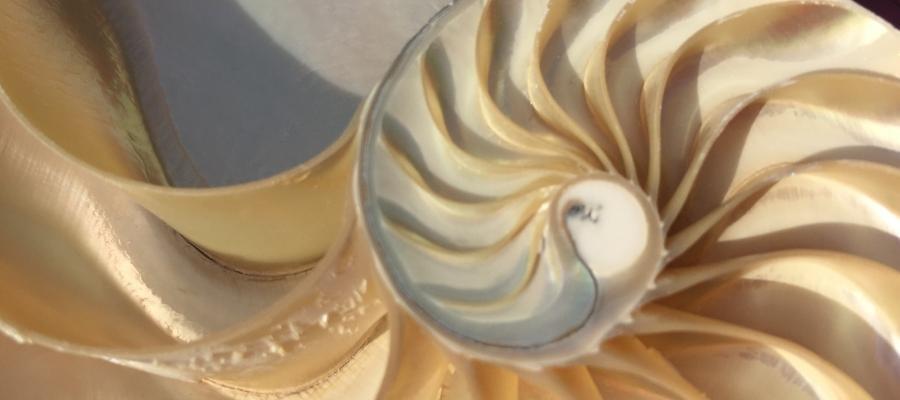 Makyajda Altın Oran: Mükemmel Görünüm için Sırlar