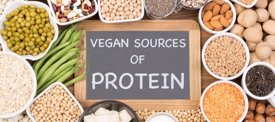 Bitkisel Protein ile Hayvansal Protein Arasındaki Farklar