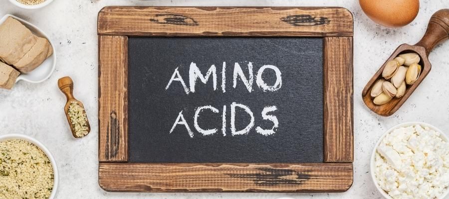 Sağlıklı Yaşamın Temeli: Aminoasitlerin Doğru Kullanımı