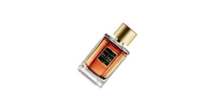 Avon Absolute By Elite Gentleman EDT Erkek Parfümü Fiyatı
