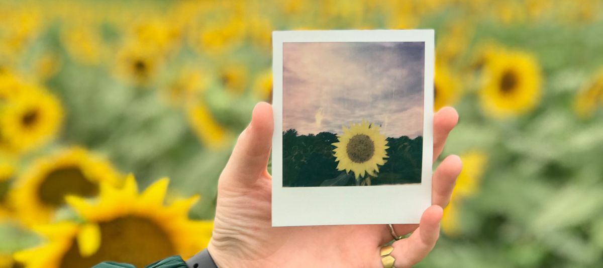 Polaroid Fotoğraf Makinesi Nedir ve Nasıl Çalışır?